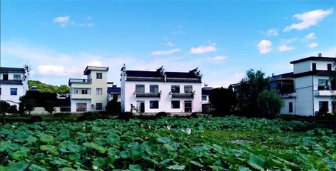 屯溪区奕棋镇 聚力“三生融合”，绘就数字创意赋能和美乡村新画卷