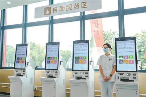 广东经济开年成绩单揭晓 数字文化与创意服务成增长新引擎